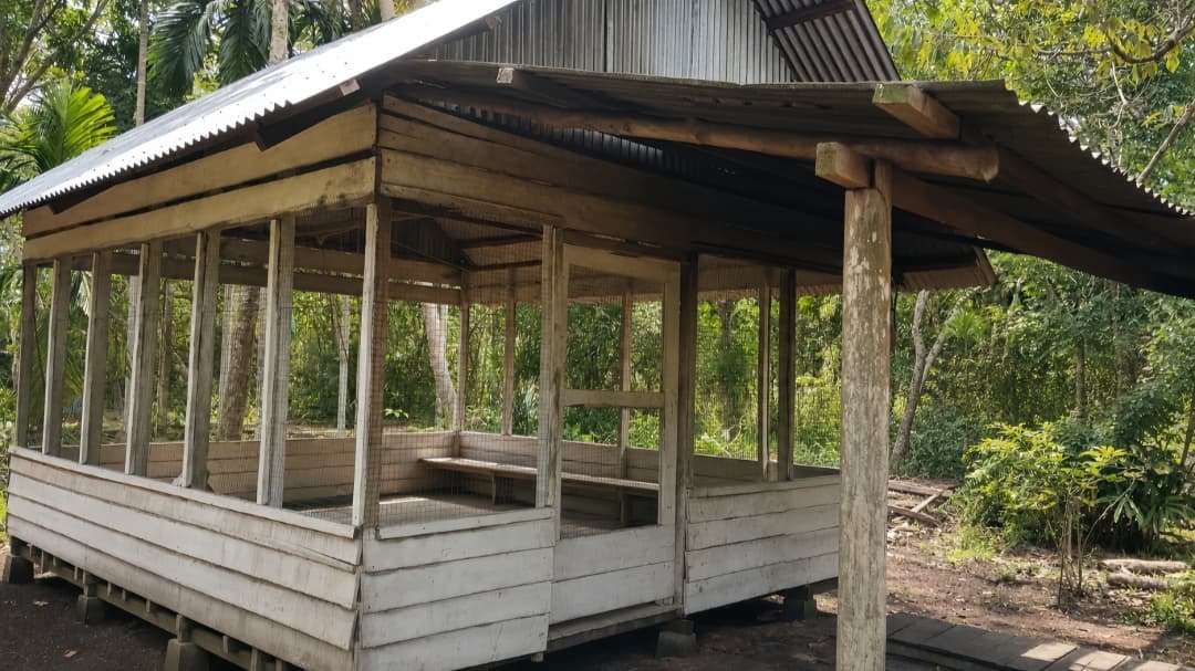 Distribusi Sagu Ritel